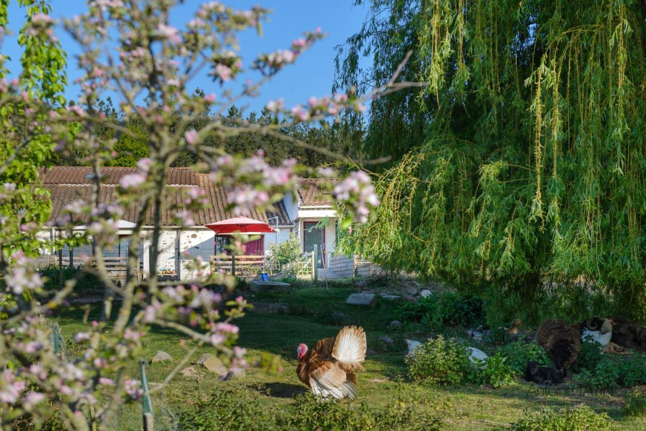 Bed and Breakfast La Chevrerie Vairé Zewnętrze zdjęcie